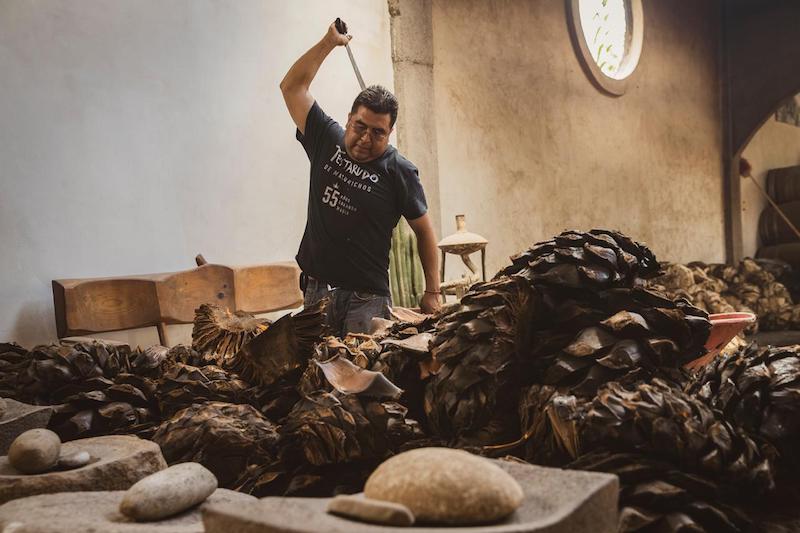 Los Macurichos: guardianes del mezcal de Oaxaca tienen la mirada puesta en compartir con el mundo la esencia de este destilado