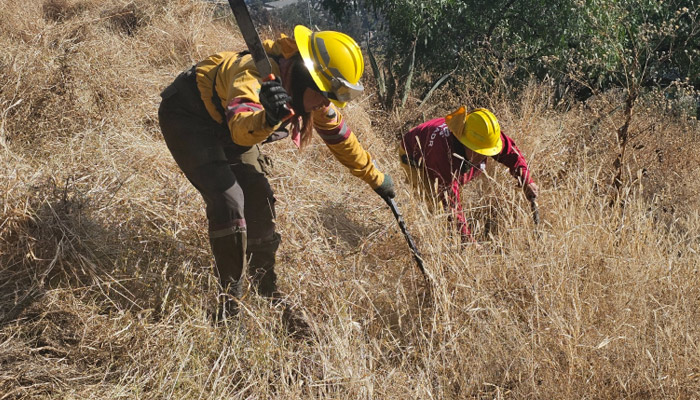 Fortalecen acciones comunitarias para preservar el Bosque Urbano Tepepolco en Iztapalapa