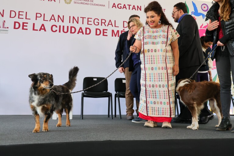 Transforma la Ciudad de México su política animalista con hospitales, parques y clínicas