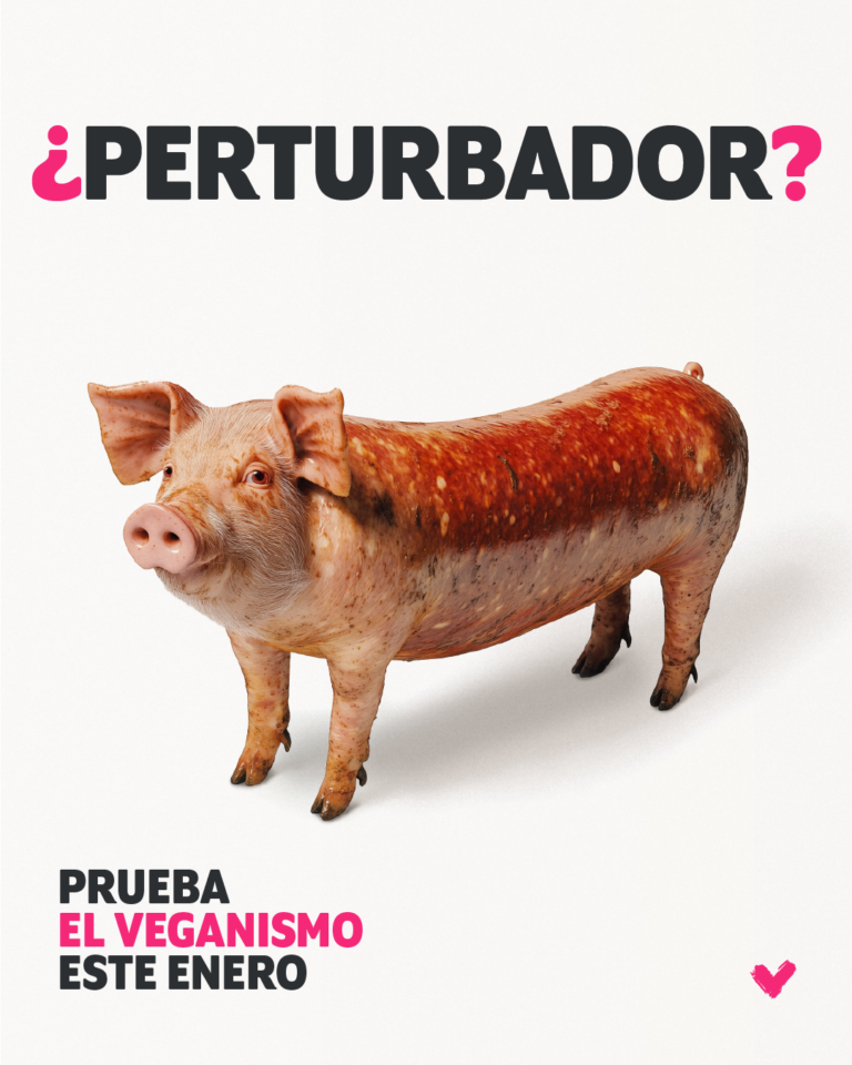 Veganuary lanza su campaña 2025 y se prepara para un nuevo Enero Vegano 