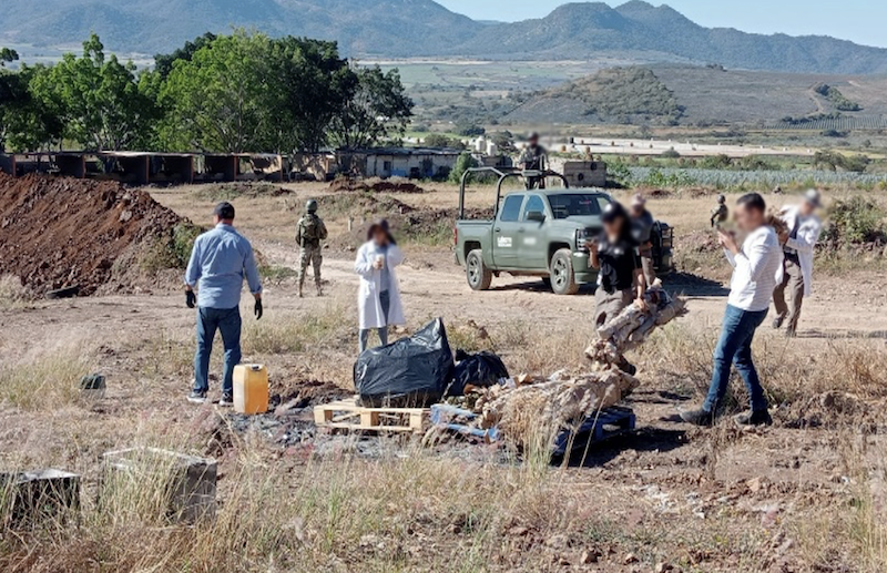 En acciones coordinadas del Gabinete de Seguridad se llevaron a cabo detenciones, cateos, aseguramientos de armas de fuego y de distintos tipos de droga