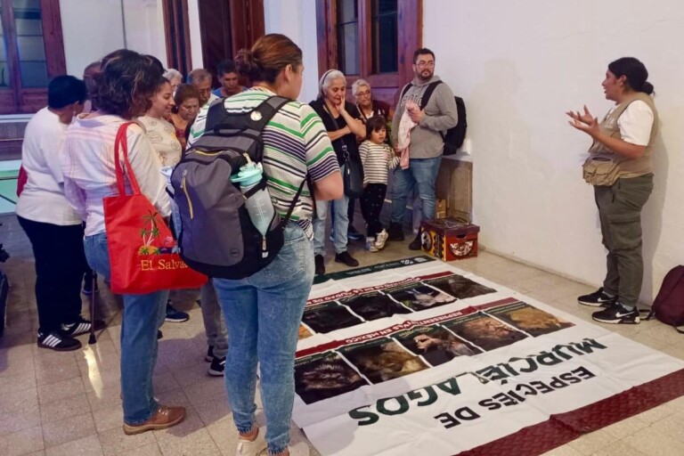 Conoce el ecosistema urbano con el recorrido “Noches de Murciélagos”