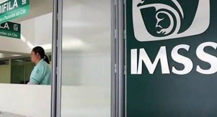 En 2024 se eliminaron 405 mil empleos formales: IMSS