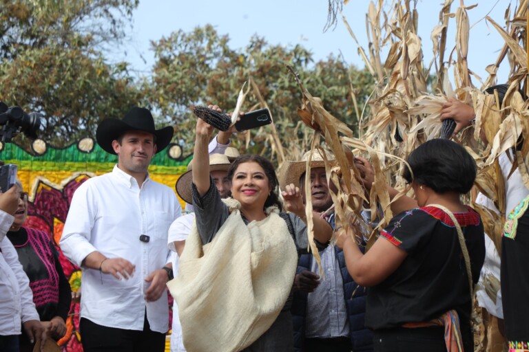 Implementa Clara Brugada acciones clave para preservar el maíz como patrimonio biocultural