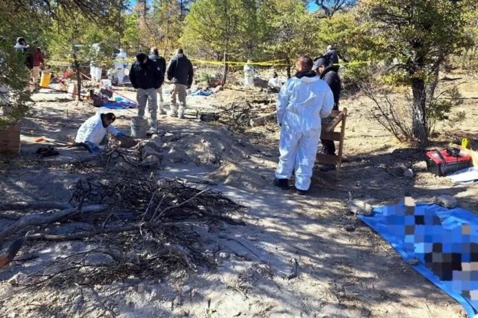 Localizan 10 cuerpos en fosas clandestinas de Casas Grandes, Chihuahua