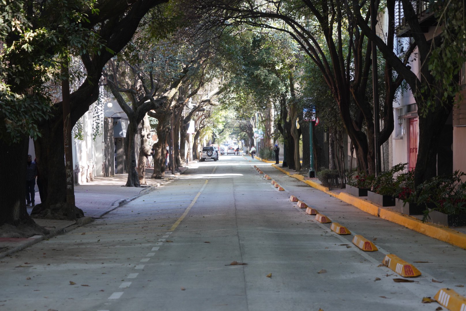 Mauricio Tabe inaugura calle renovada en San Miguel Chapultepec