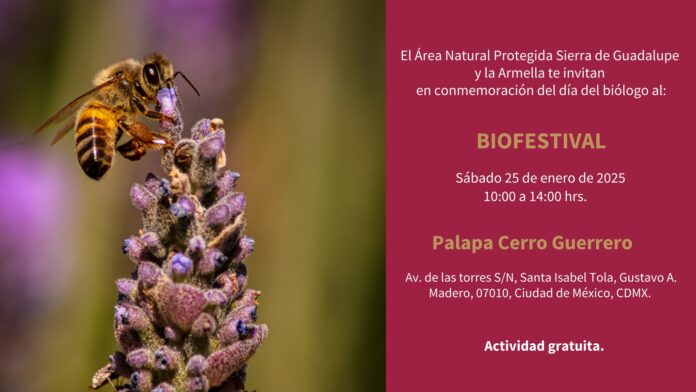 Sedema invita al Biofestival de este sábado 25 de enero