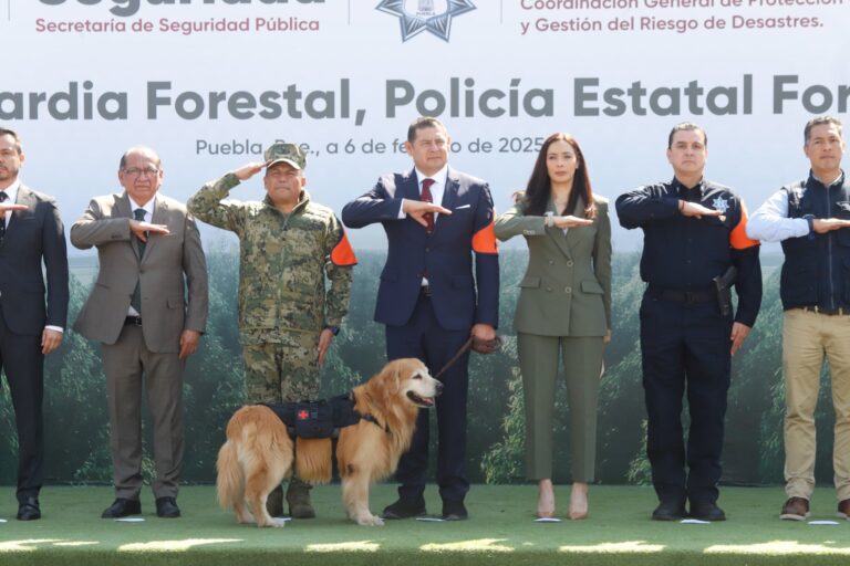 Crean la Policía y Guardia Forestal en Puebla