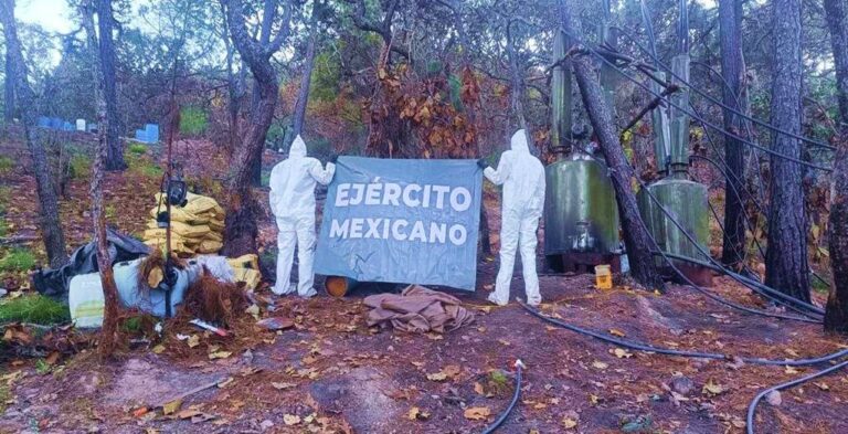 Desmantelan laboratorio clandestino en Compostela, Nayarit