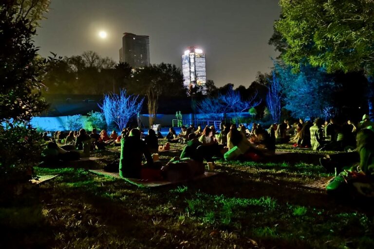 Vive una velada especial en el Picnic Nocturno del Bosque de Chapultepec