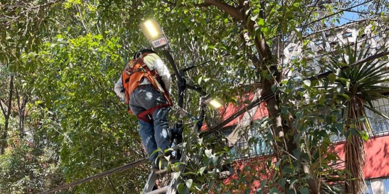 Alcaldía Cuauhtémoc refuerza seguridad en Tlatelolco con nuevas luminarias y detenciones efectivas