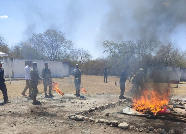 Incineran drogas incautadas en Yucatán
