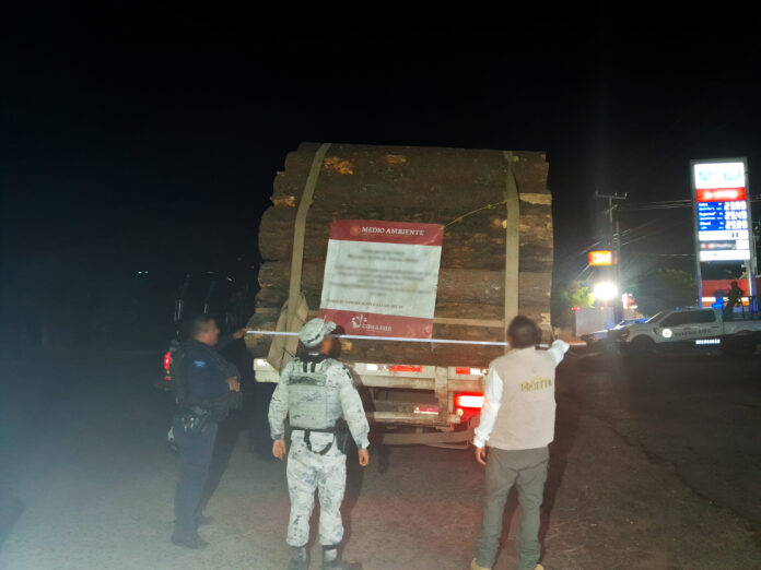 Profepa realiza acciones de inspección forestal en 20 estados