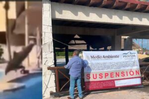 Profepa suspende delfinario del Hotel Barceló Riviera Maya