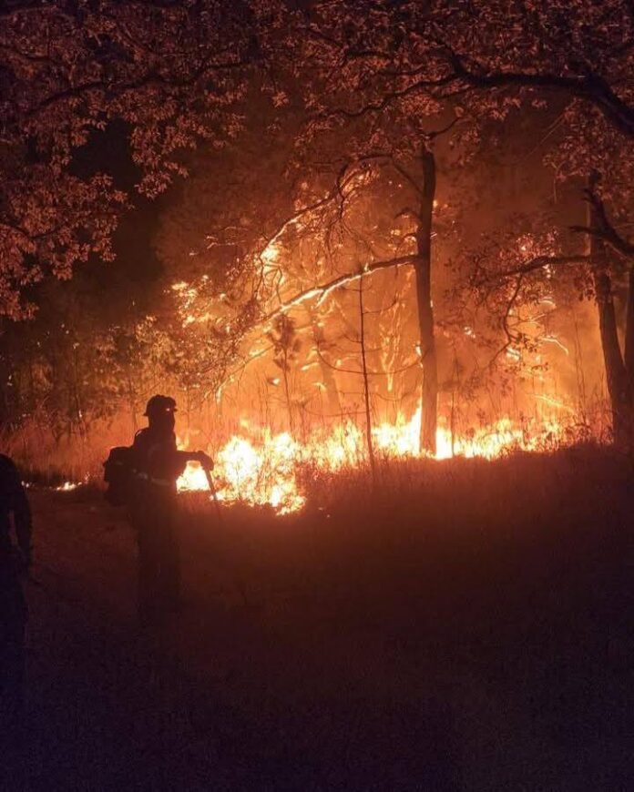 Suspenden clases en Jalisco por incendio en bosque La Primavera