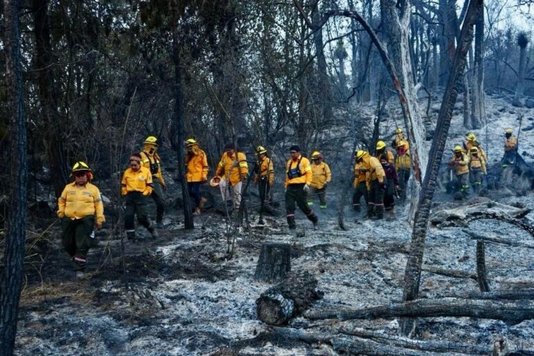 Brigadistas de SEDEMA controlan incendio forestal en Tlalpan y refuerzan vigilancia ambiental