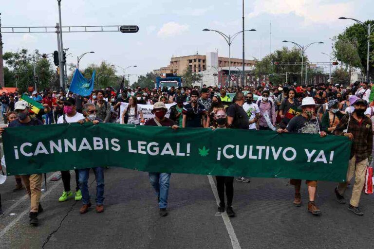 Colectivos pro cannabis tomarán Reforma este 3 de mayo en defensa de sus derechos