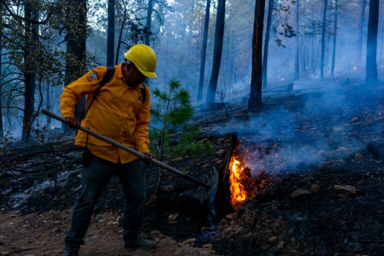 Combaten 72 brigadistas siete incendios forestales activos en Chihuahua