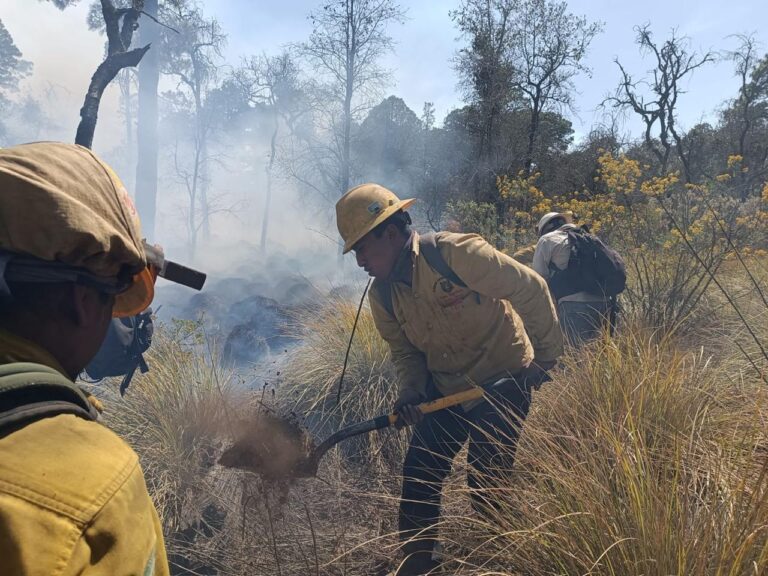 Milpa Alta y Tlalpan bajo vigilancia especial para evitar incendios y tala ilegal