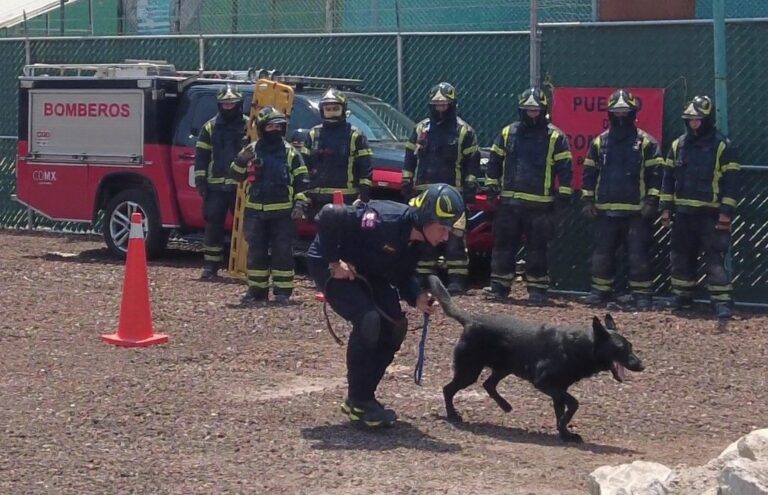 Presentan la primera célula homo-canina del Heroico Cuerpo de Bomberos para búsqueda en estructuras colapsadas