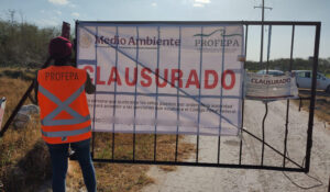Profepa clausura mega granja porcícola en Mérida, Yucatán