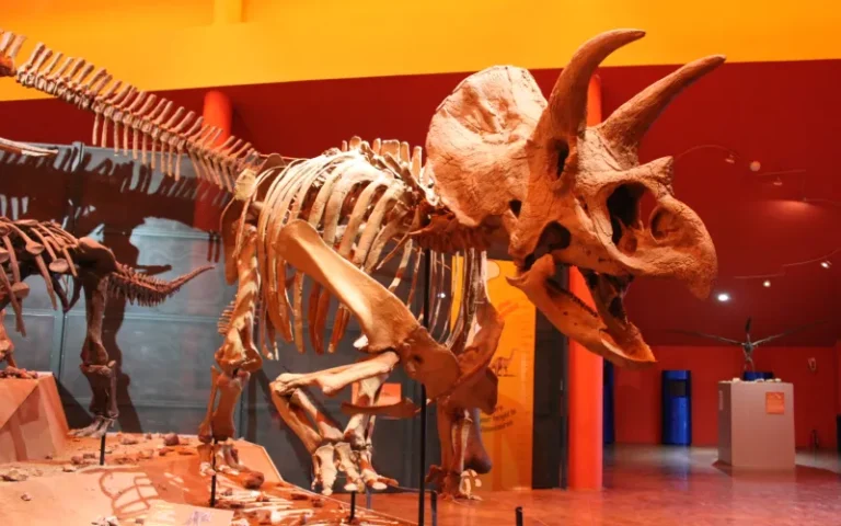 ¡Visita el Museo del Desierto Chihuahuense esta Semana Santa!