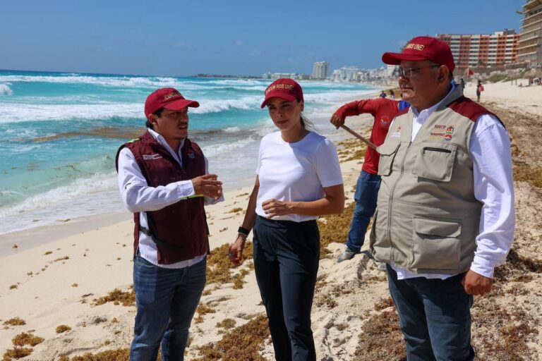Refuerza Ana Paty Peralta acciones de recolección de sargazo en playas públicas