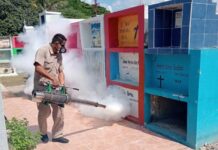 Campeche avanza en el combate del dengue