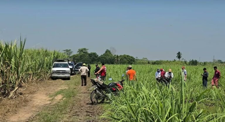 Hallan 4 cuerpos en camino de terracería de Cárdenas, Tabasco