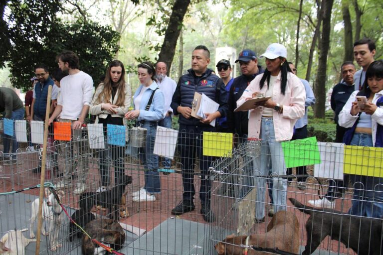 Inspección en Parque México detecta irregularidades en condiciones de adopción animal