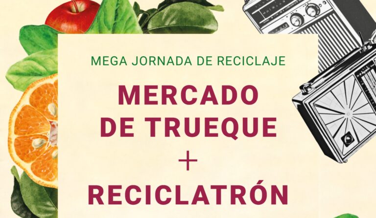 Mega Jornada de Reciclaje en CDMX impulsa economía circular y conciencia ambiental