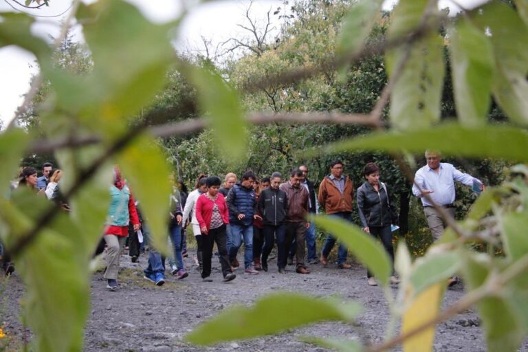 ¡No te pierdas los recorridos guiados por el Parque Ecológico de la CDMX!