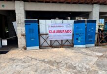 Profepa clausura 'Dolphinaris Barceló' por maltrato a delfín