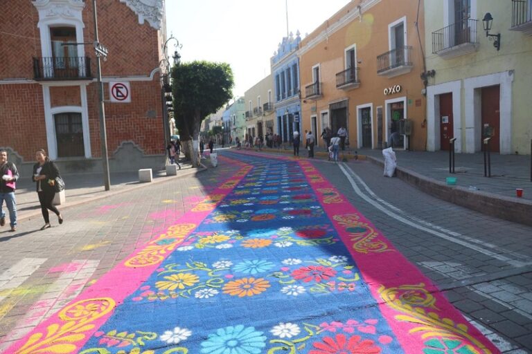 Fe que camina: alfombras, flores y devoción unen a feligreses y visitantes en la bajada de la Virgen de Ocotlán