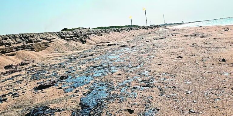 Derrame de hidrocarburo en Tabasco causa daños ambientales