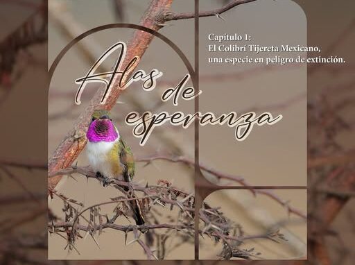 Actividades gratuitas en Museo Kaná por el Día del Medio Ambiente