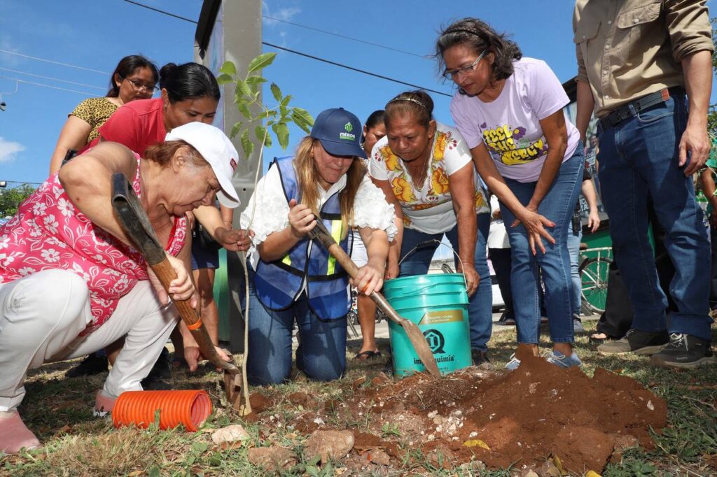 Anuncian la Cruzada Forestal 2025 en Mérida