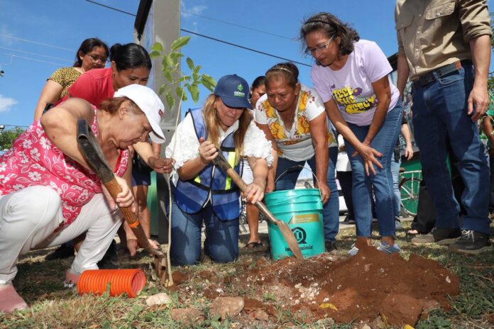 Anuncian la Cruzada Forestal 2025 en Mérida