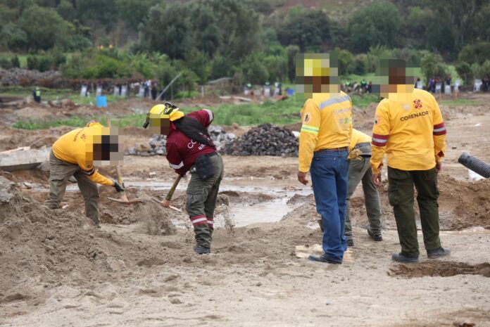 CDMX recupera 3.75 hectáreas de Suelo de Conservación en Tláhuac