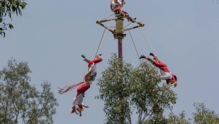 Caen voladores de Papantla mientras realizaban ritual tradicional