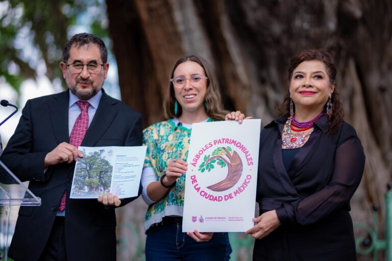 Declaran Patrimonio Natural a ahuehuete de 700 años en Azcapotzalco