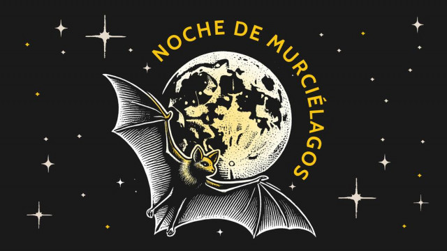 Descubre el mundo de los murciélagos con recorridos nocturnos en Tlalpan