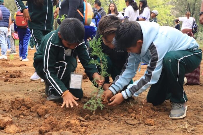 IEEPO pone en marcha el programa “Reforesta Oaxaca“