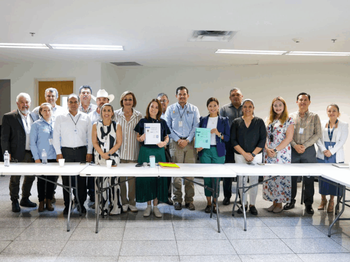 Nuevo León busca la denominación de origen para el orégano de la Sierra de Picachos