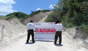 Profepa clausura 3 predios por extracción de material pétreo y remoción de vegetación en Chiapas
