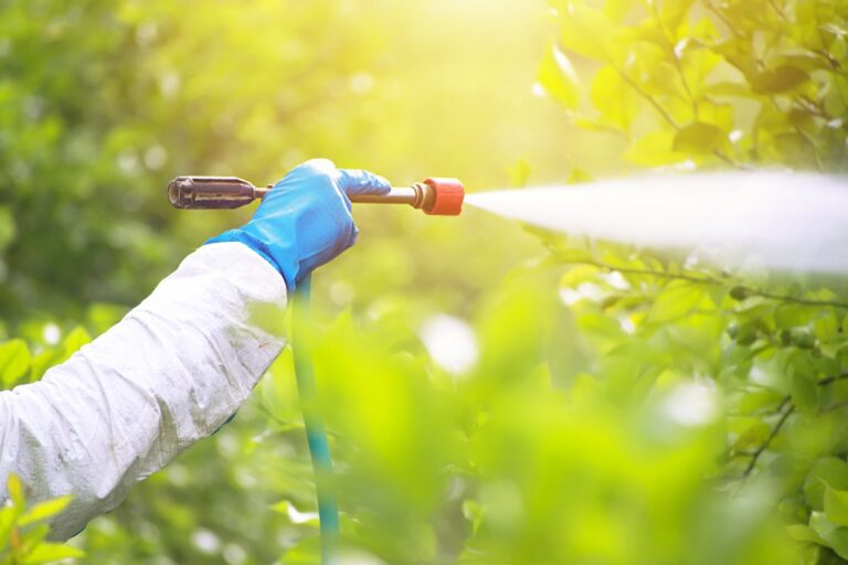 ¿Qué es un sarricida y cómo se diferencia de otros tipos de herbicidas o desmalezadores?