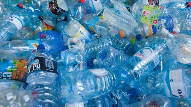 21 millones de botellas al día: el costo oculto del calor