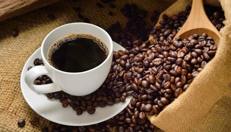 El Café Mexicano, de los mejores del Mundo