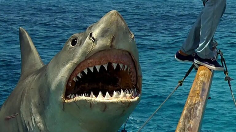 Tiburón’ cumple 50 años: 20 curiosidades del primer blockbuster de la historia