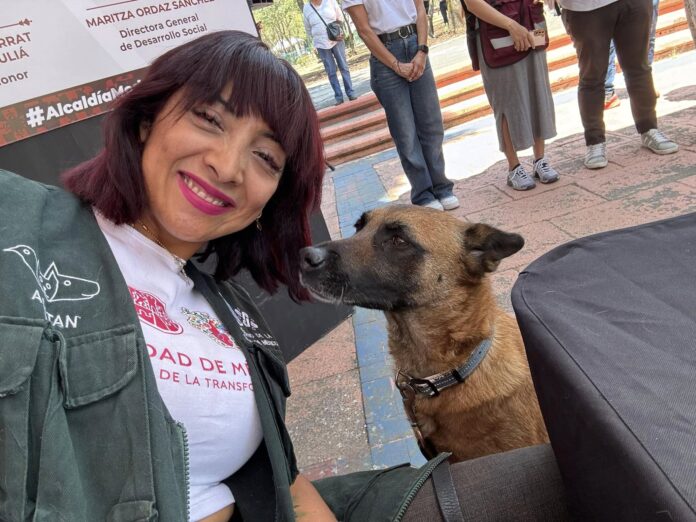 CDMX investigará a Ana Villagrán, titular de la Agencia de Atención Animal... ¡por maltrato animal!
